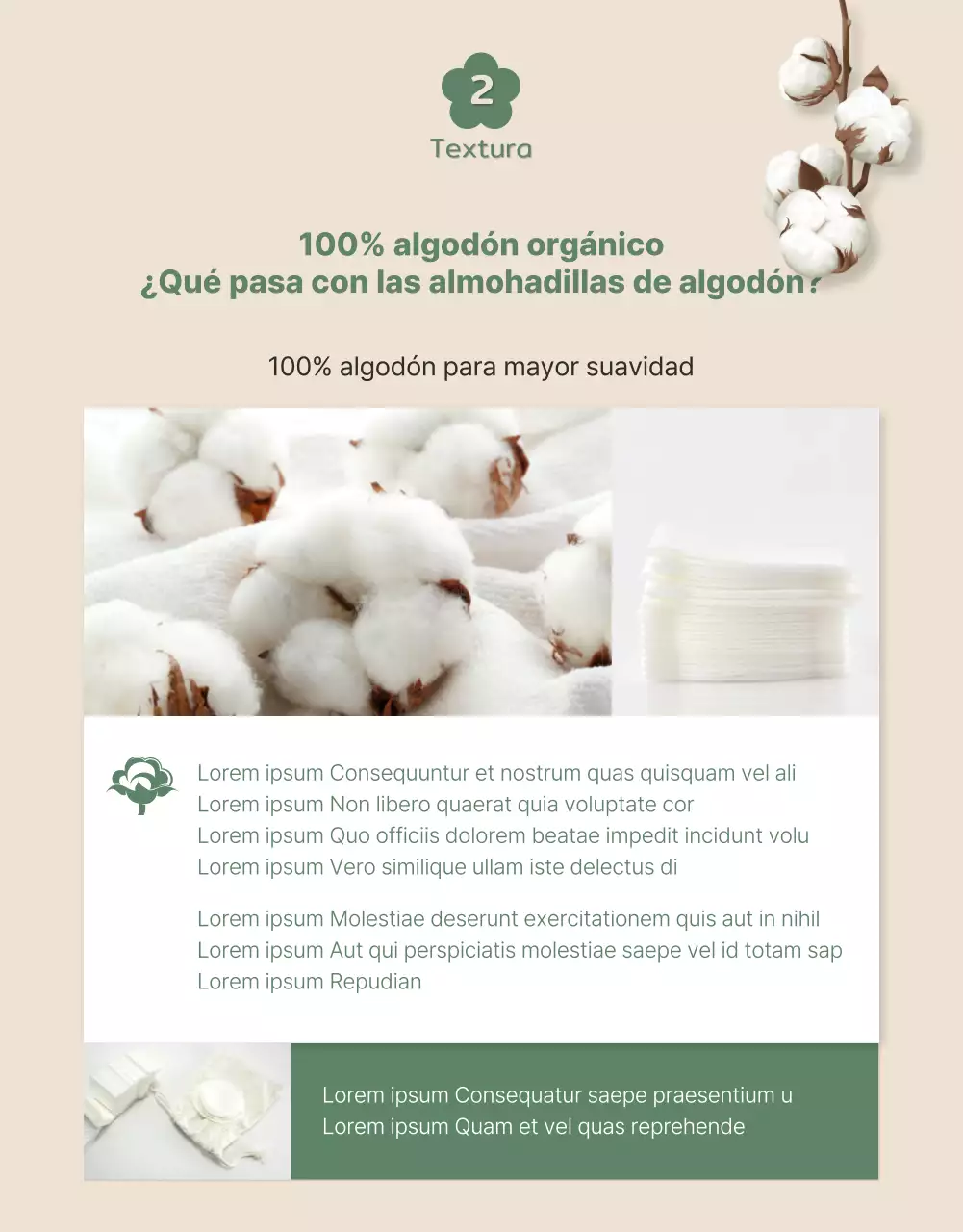 Bonitas almohadillas de algodón orgánico en tonos verde y beige