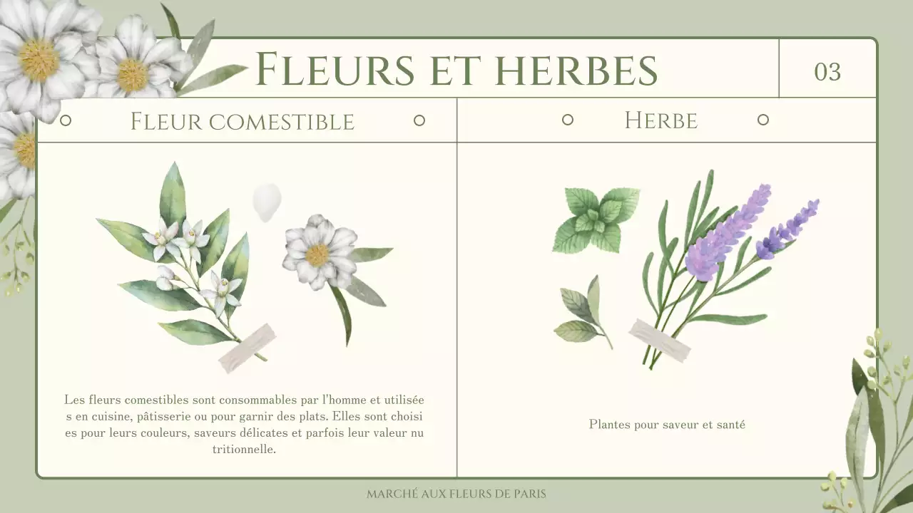 Informations sur les fleurs et les herbes comestibles sur le thème de l'illustration verte et sentimentale à l'aquarelle