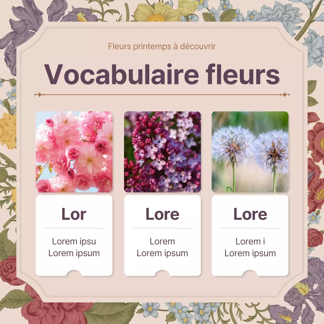 Concept de fleur printanière de fleur vintage rose concept complet