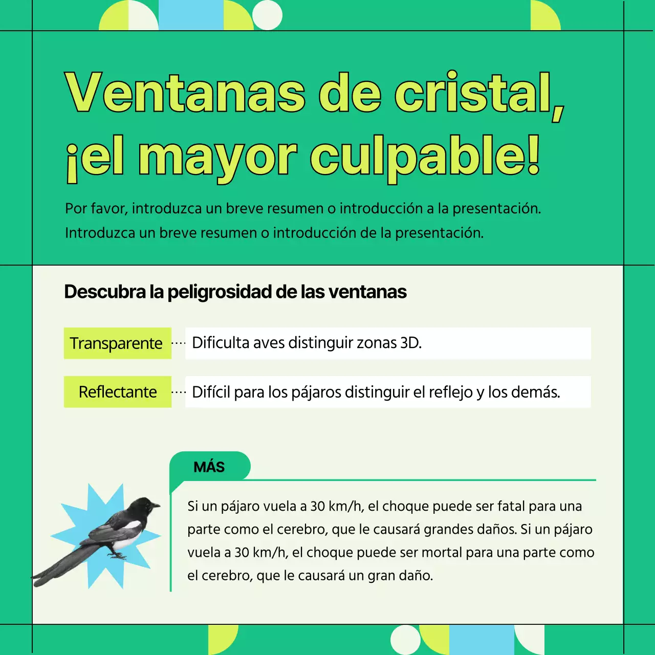 Información verde y geométrica sobre la prevención de colisiones con aves silvestres en las ventanillas (Card News)