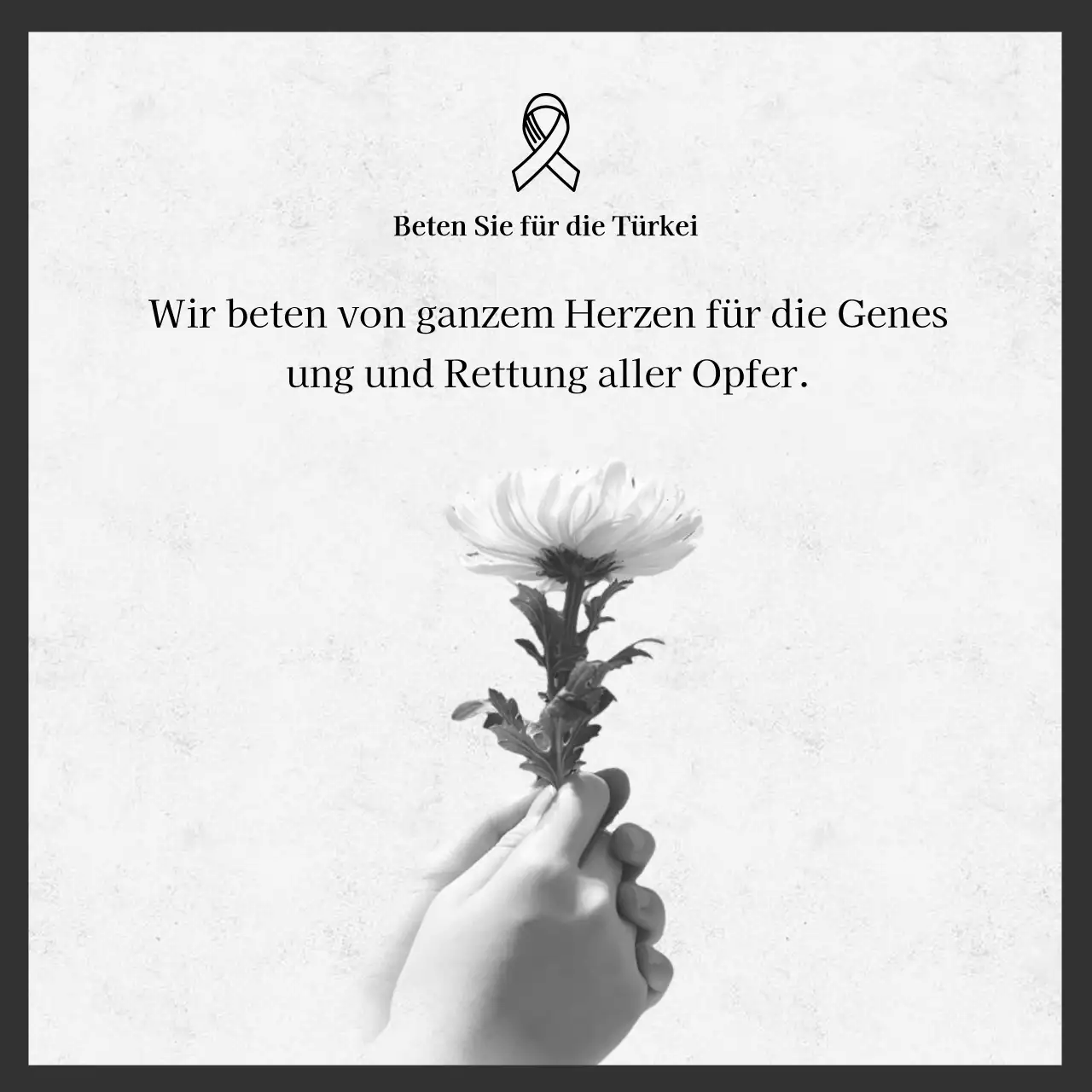 Foto einer grauen Chrysanthemenblüte unterstreicht die Erinnerung an die Erdbebenschäden