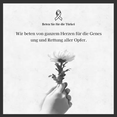 Foto einer grauen Chrysanthemenblüte unterstreicht die Erinnerung an die Erdbebenschäden