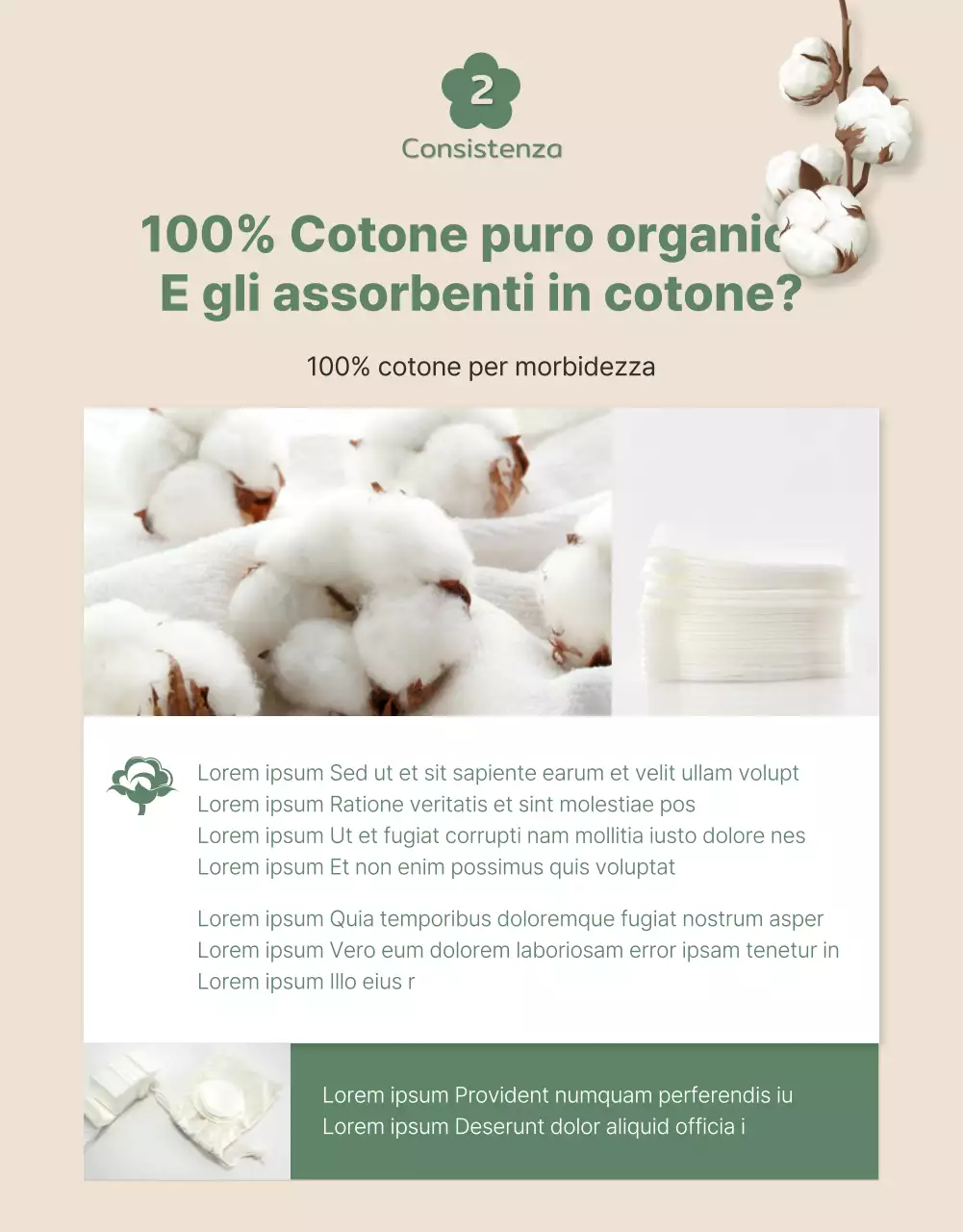Simpatici assorbenti in cotone biologico nei toni del verde e del beige