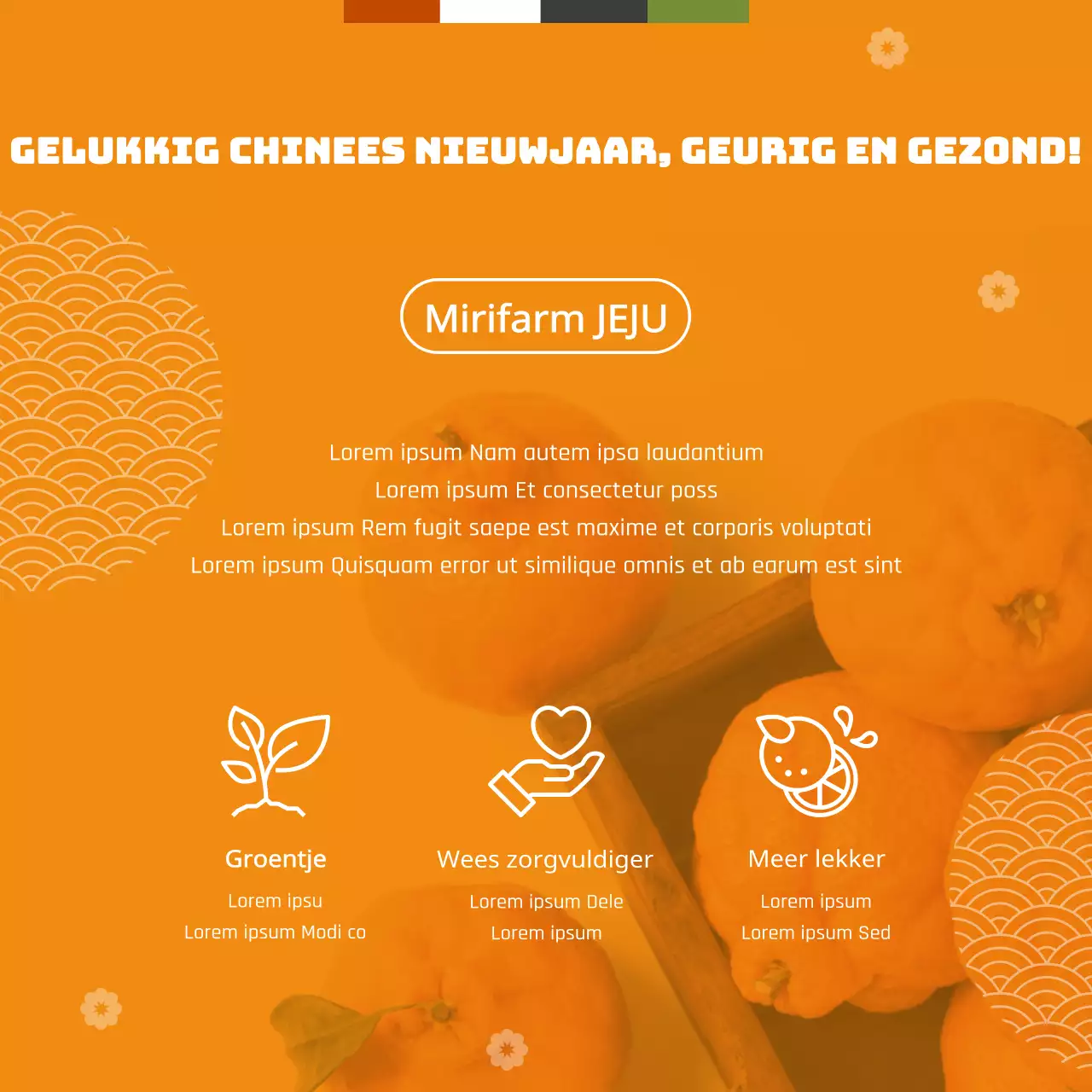 Oranje traditioneel concept vakantie Hallabong geschenkset thema