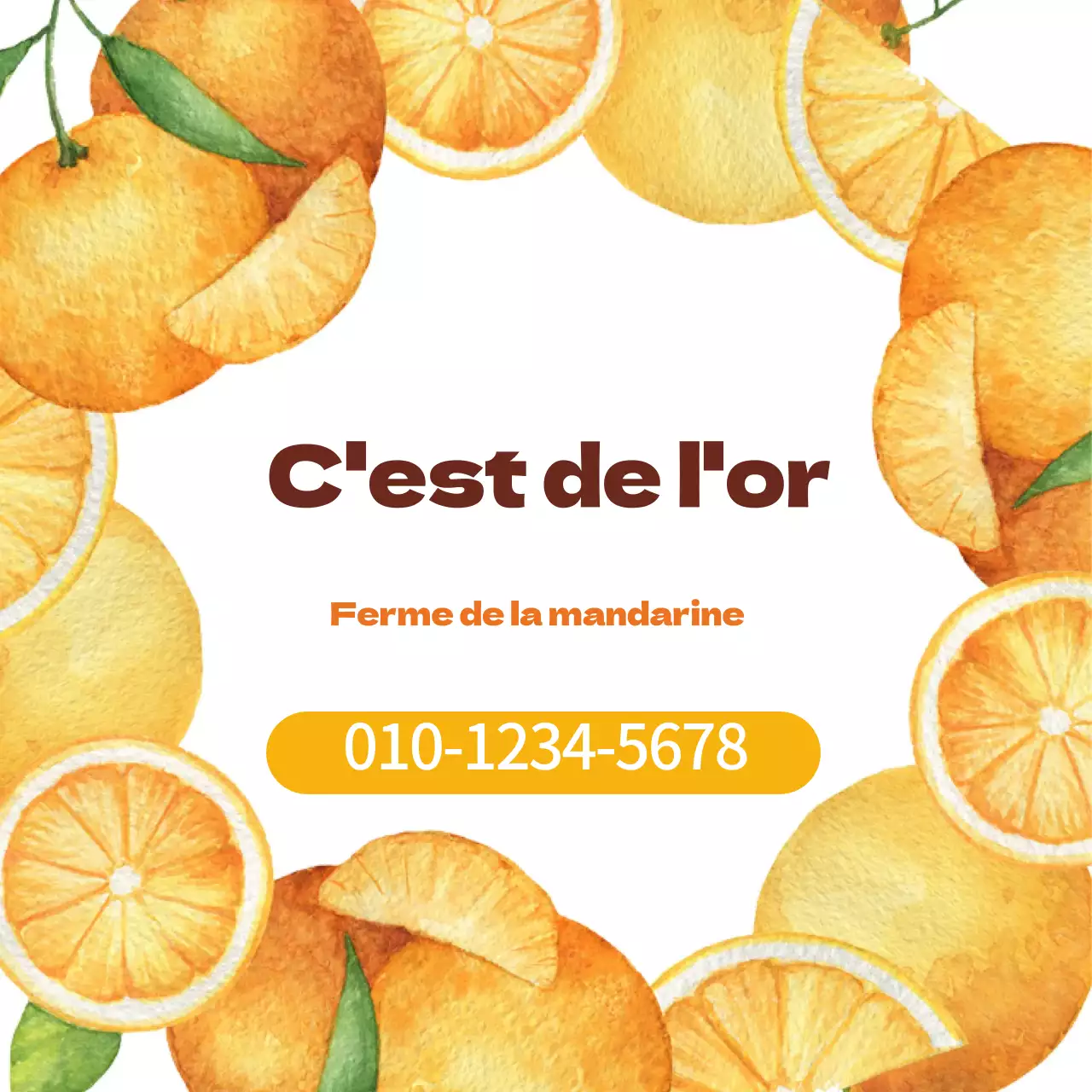 Illustration orange aquarelle produits agricoles