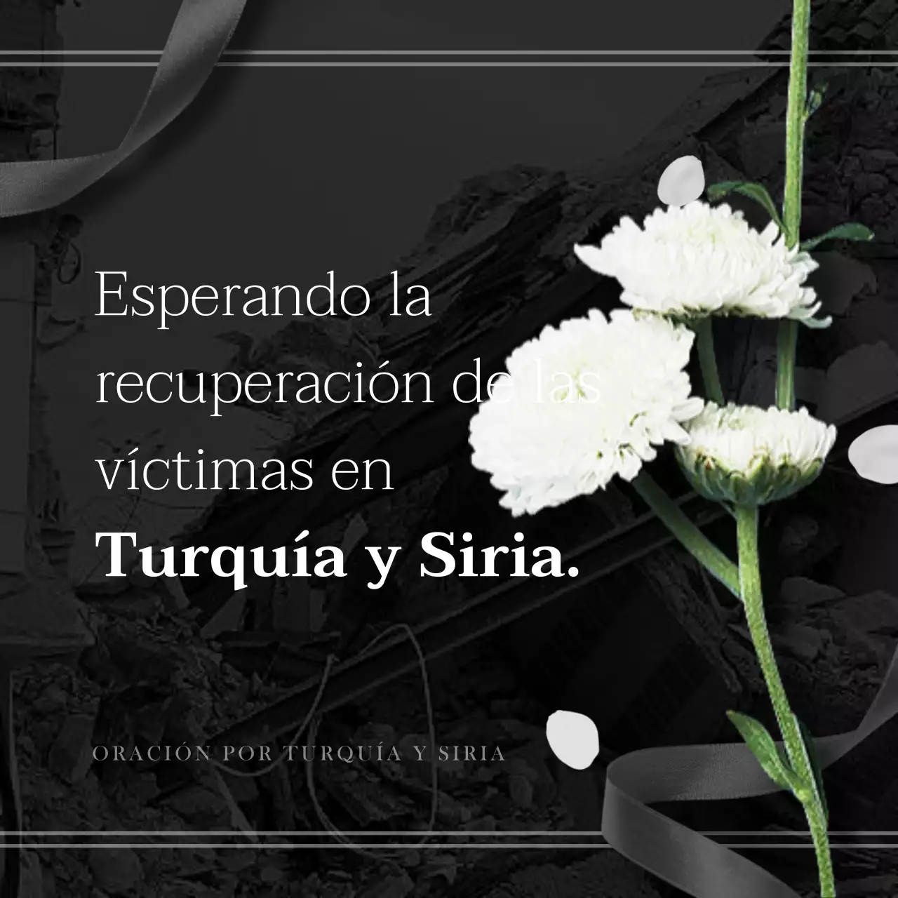 Los orígenes en blanco y negro de la recuperación de Siria en Turquía