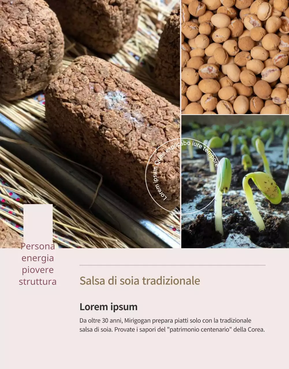 Finanziamento di un lussuoso buono pasto in edizione limitata in nero e marrone (pagina di dettaglio)