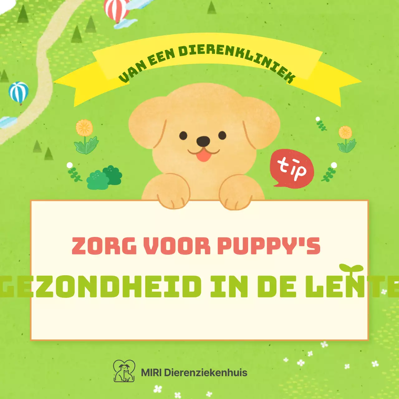 Gezondheidstips voor pastelkleurige pups in de lente