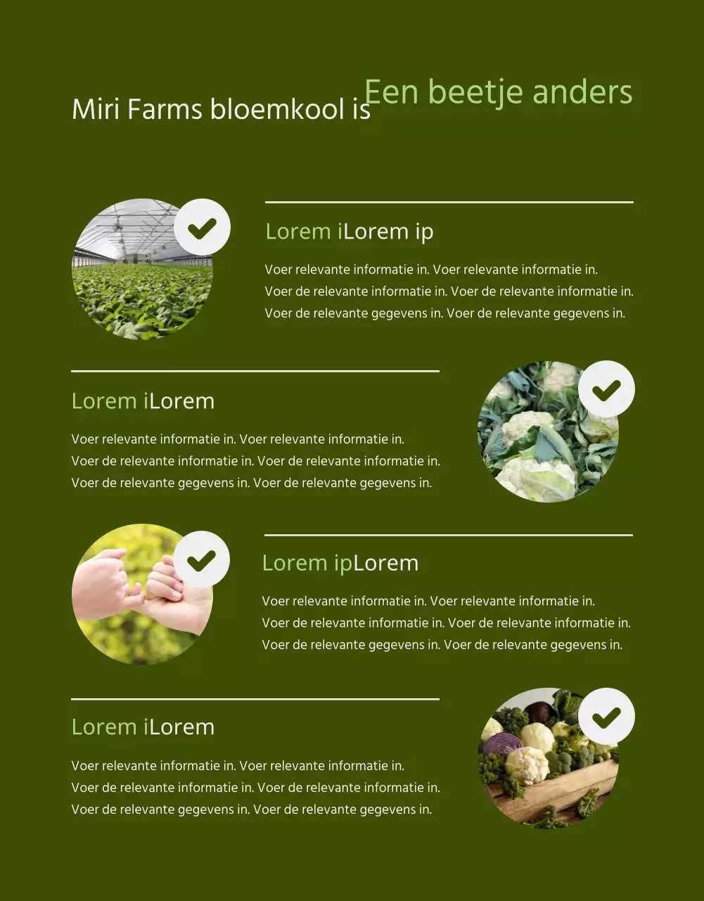 Bloemkool boerderij product beschrijving met een licht groene aquarel gevoel