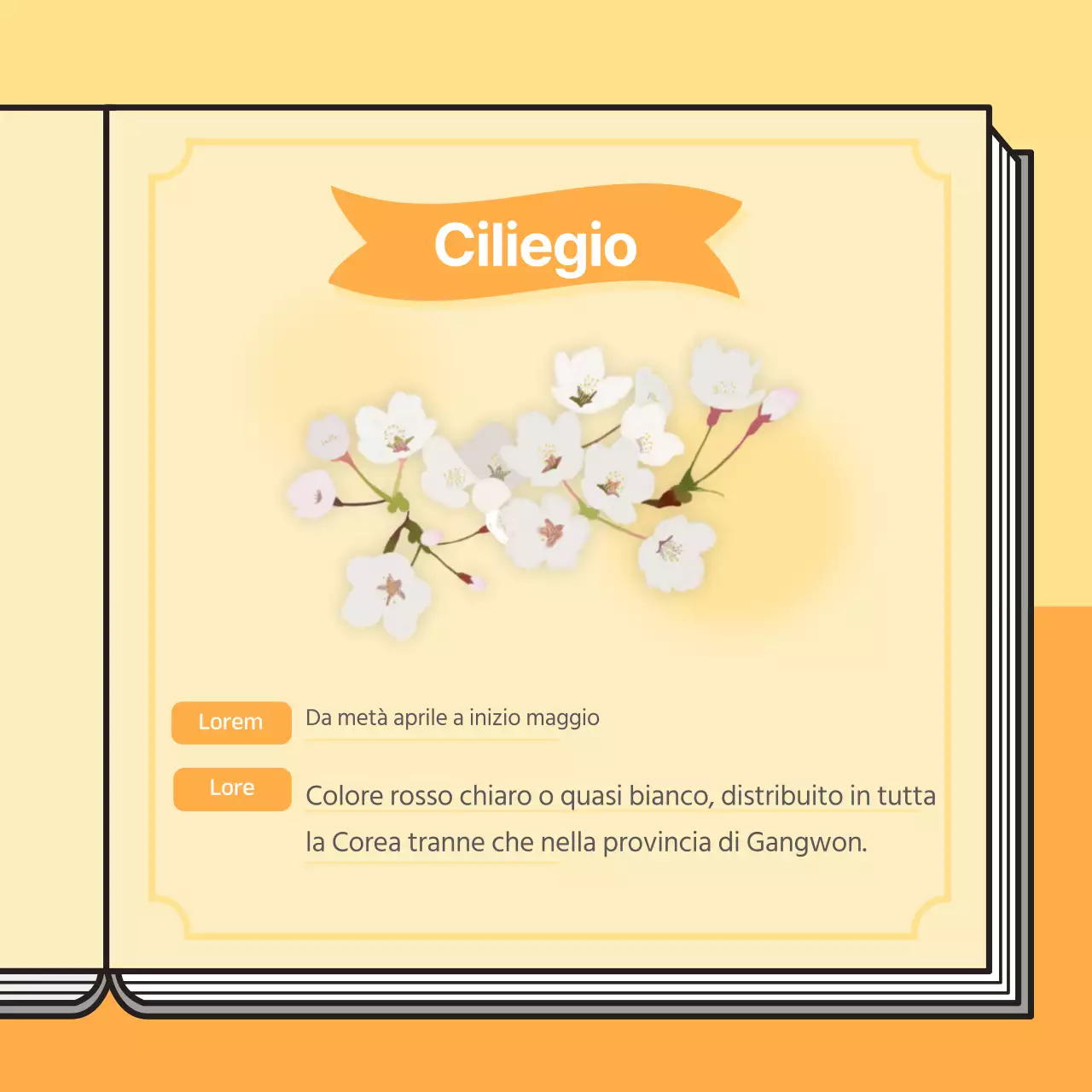 Concetto di libro informativo sui fiori di ciliegio in colori pastello