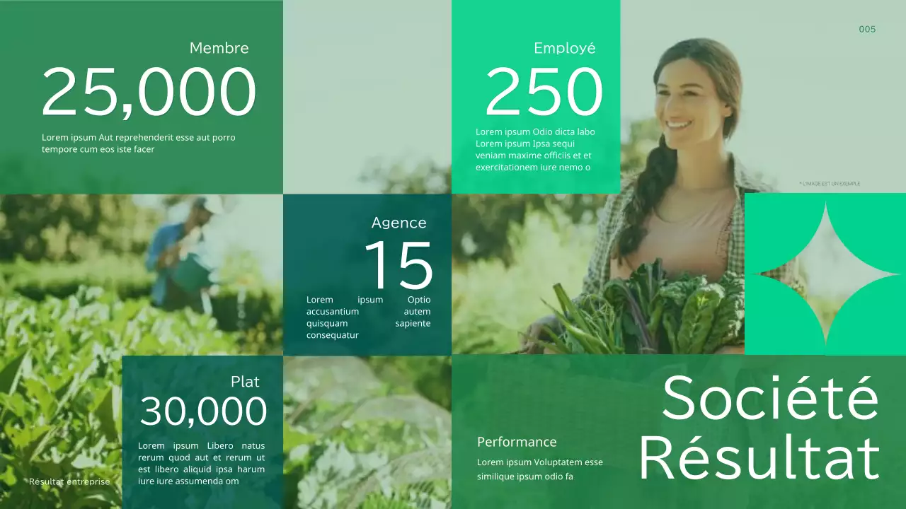 Profil d'une entreprise d'agriculture verte et naturelle