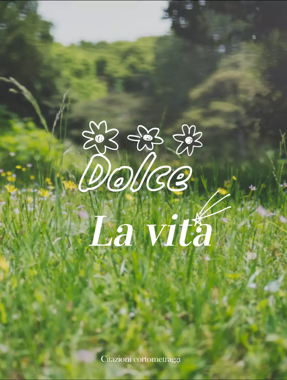 Merchandising con foto emozionali di paesaggi gialli e bianchi e testo emozionale