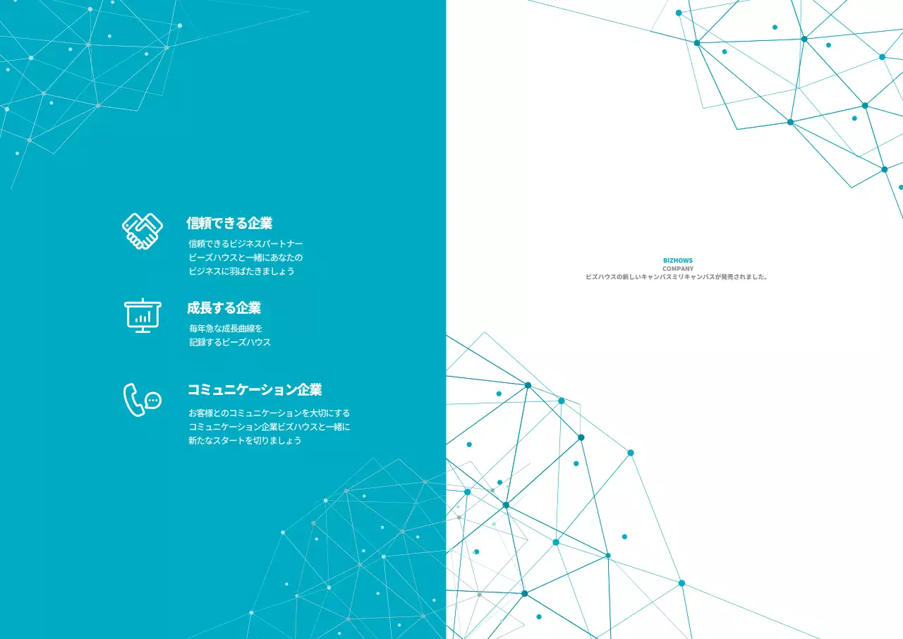 ビズショー社홀더