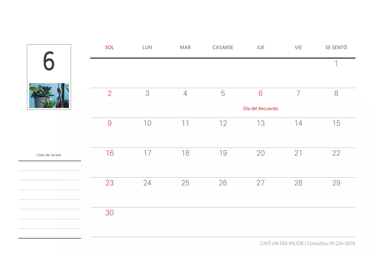 Blanco naturaleza botánica limpia