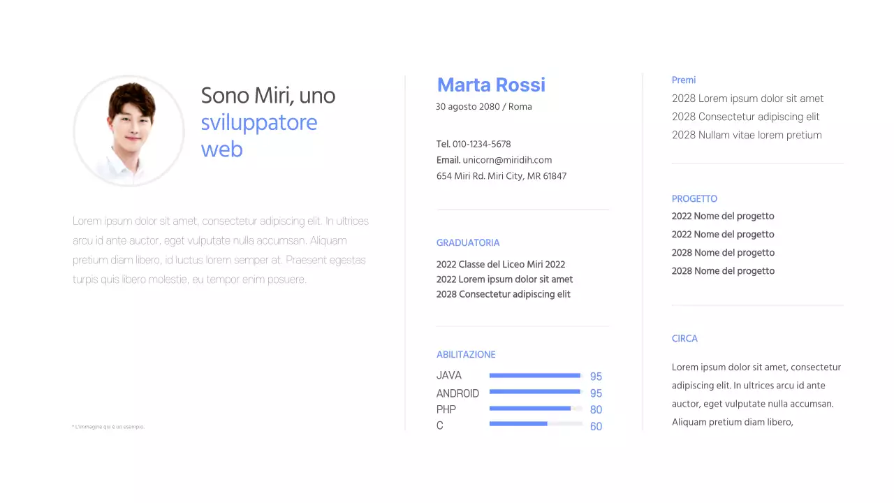 Portafoglio sviluppatori in blu