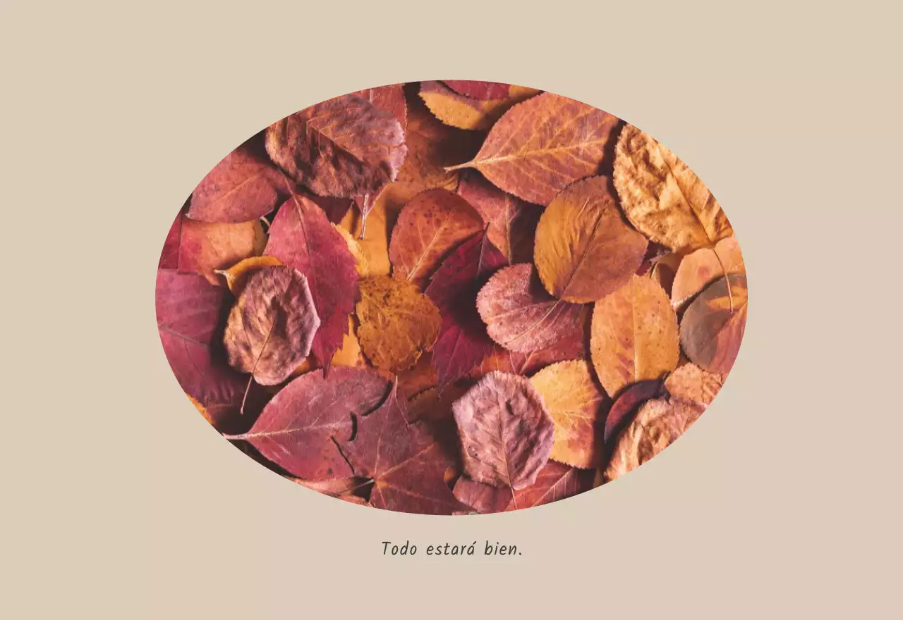 Blanco naturaleza botánica limpia