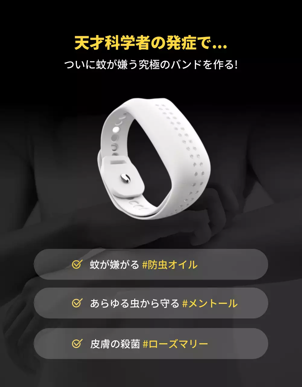 黒 面白い 虫 チラシ 詳細ページ