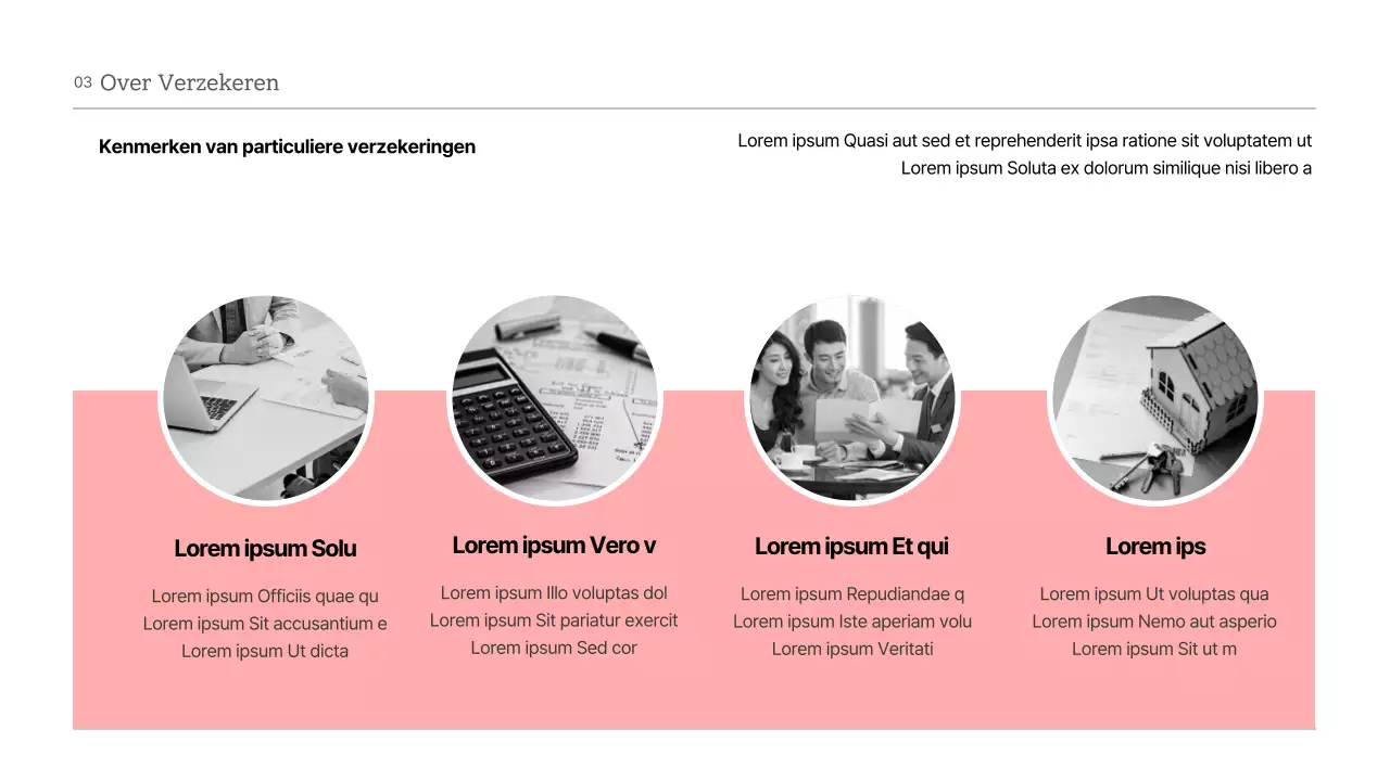 Presentatie van theorieën en voorbeelden van roze en grijze tinten van particuliere verzekeringen en hun vooruitzichten