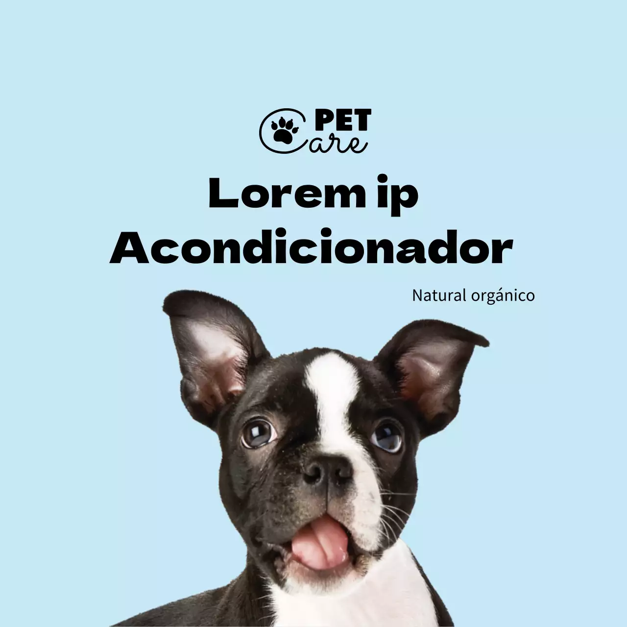azul claro logo foto etiqueta simple para mascotas