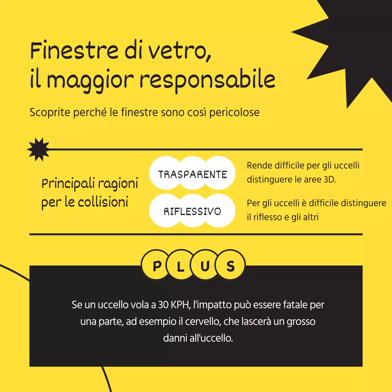 Ottenere un semplice uccello selvatico in nero e giallo