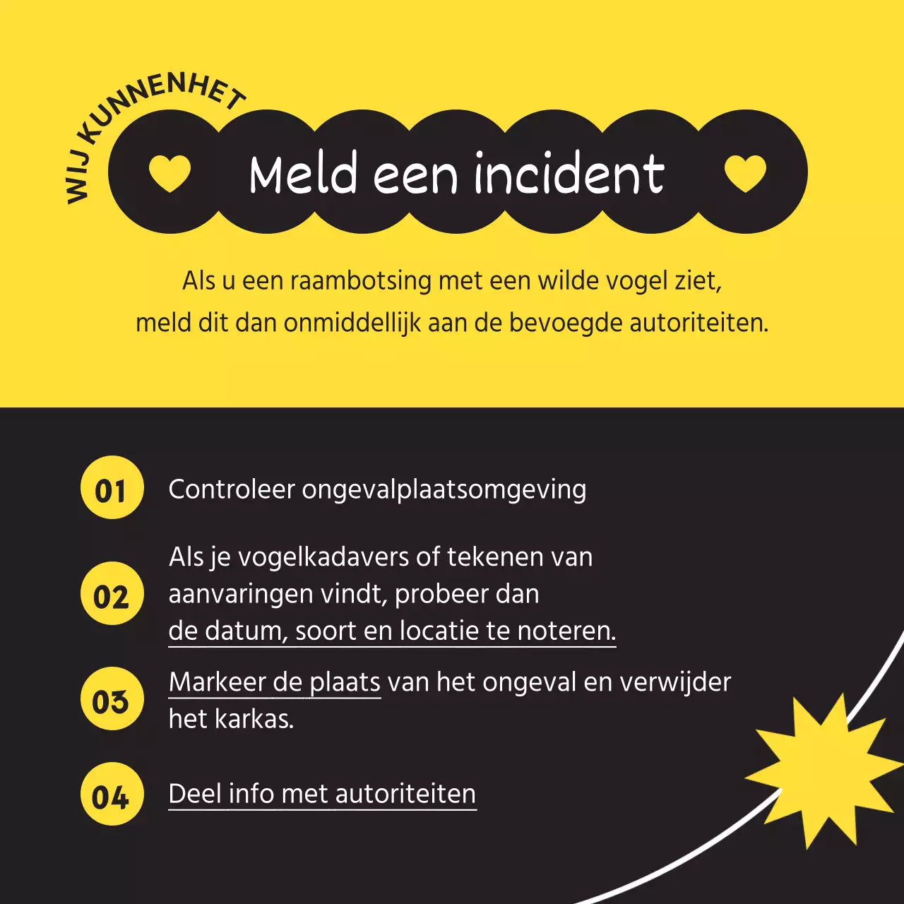 Koop een eenvoudige wilde vogel in zwart en geel