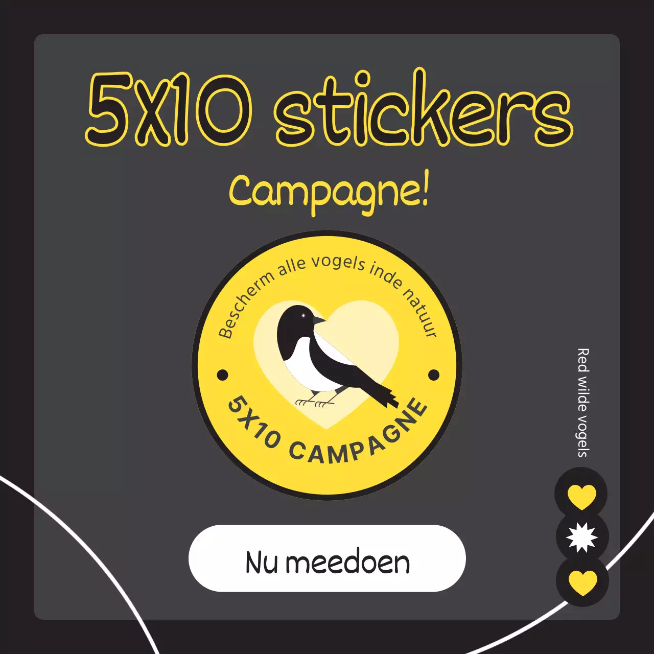 Koop een eenvoudige wilde vogel in zwart en geel