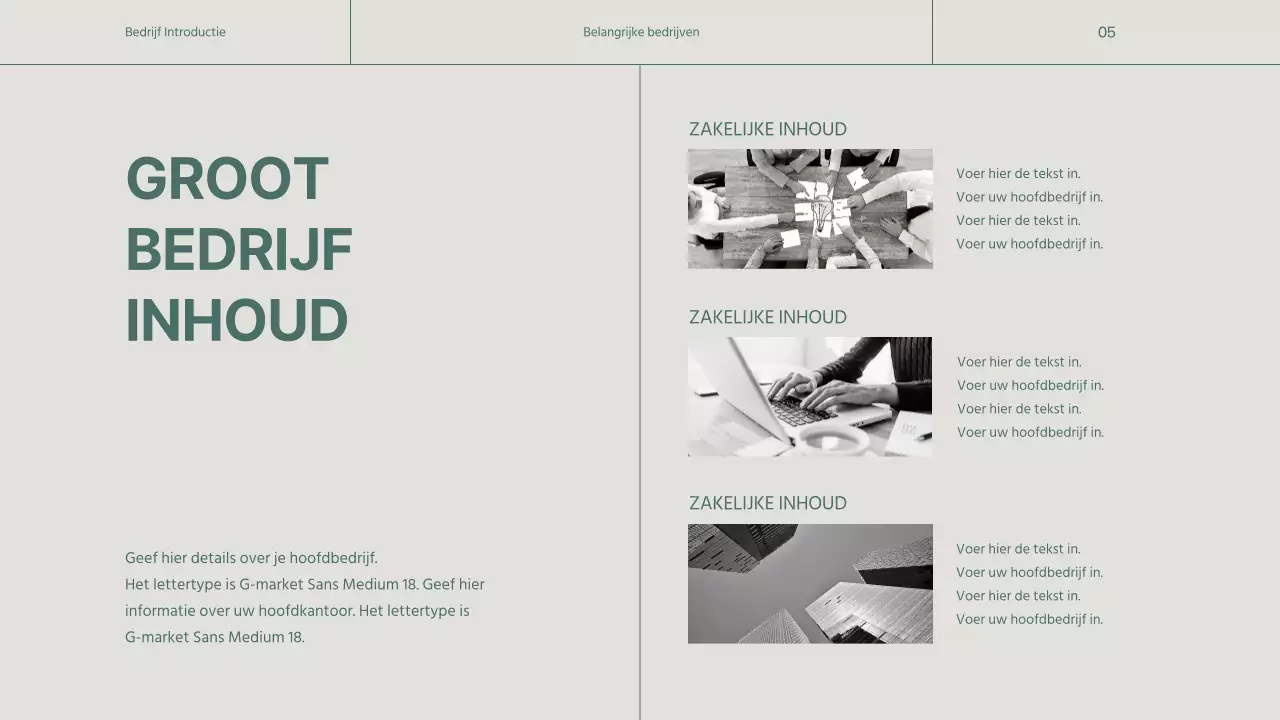 Een eenvoudig groen en beige bedrijfsprofiel