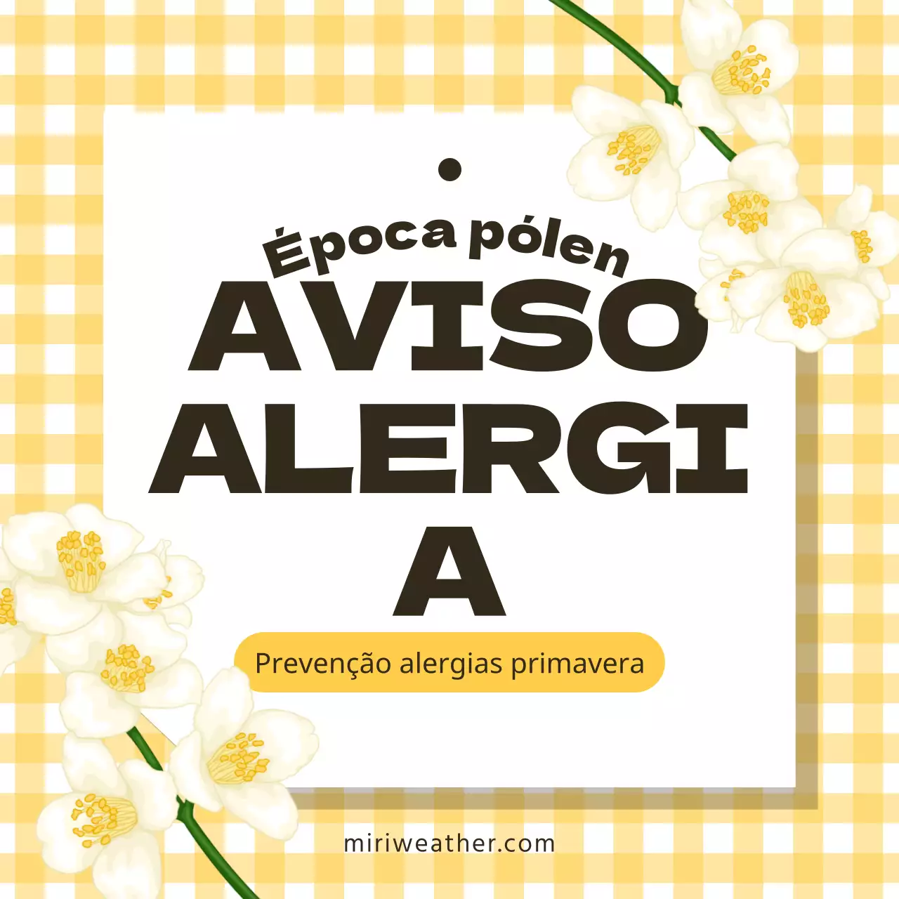 Uma campanha de sensibilização para o pólen com tabuleiros de xadrez amarelos e flores.