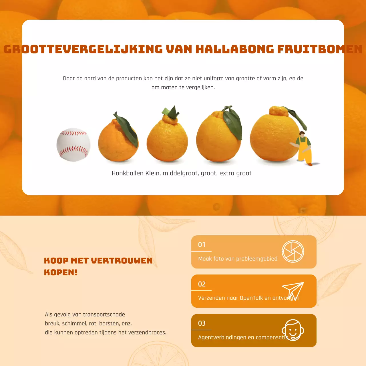 Oranje traditioneel concept vakantie Hallabong geschenkset thema