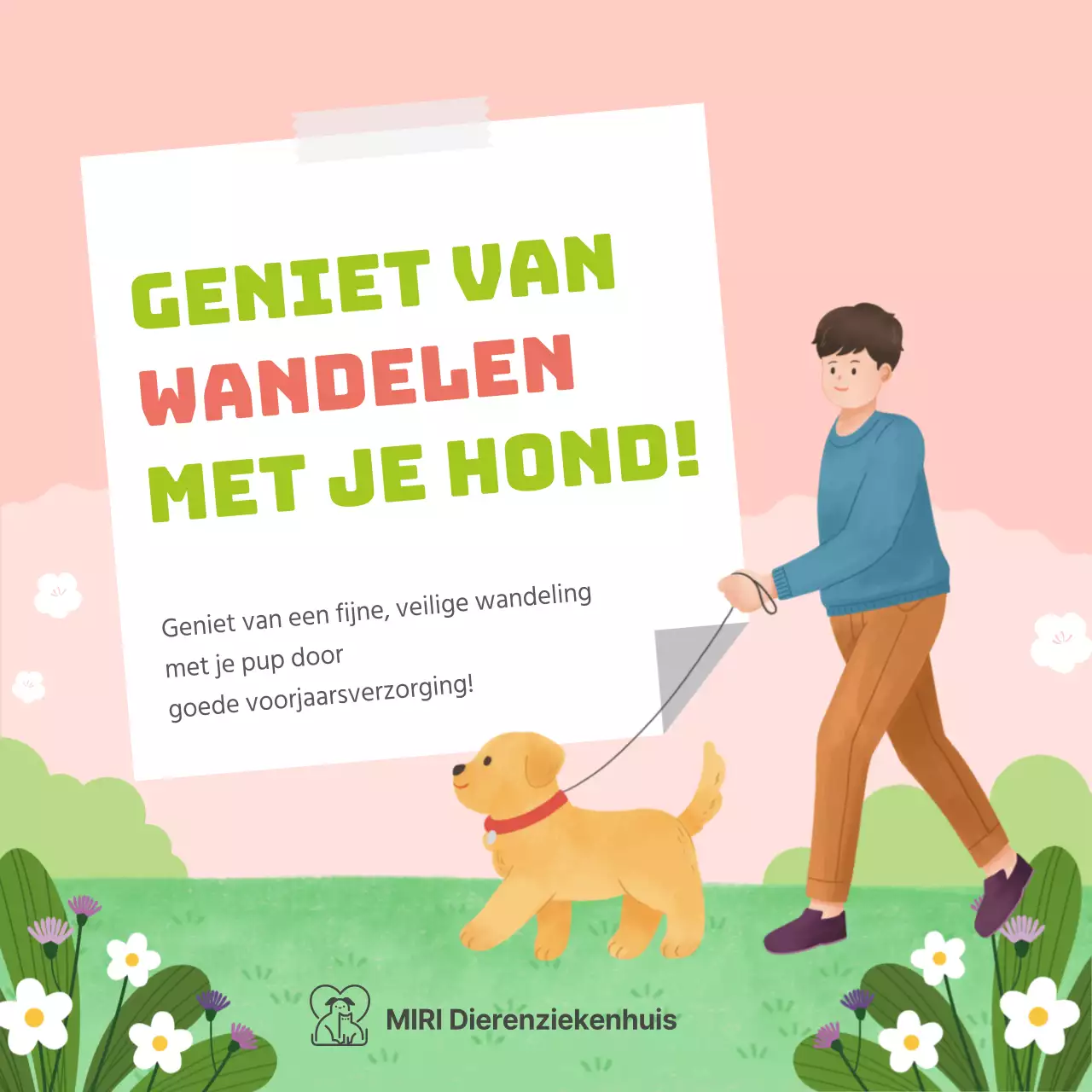 Gezondheidstips voor pastelkleurige pups in de lente