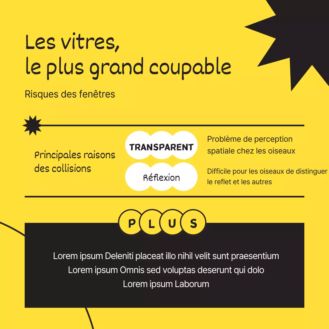 Obtenez un simple oiseau sauvage en noir et jaune