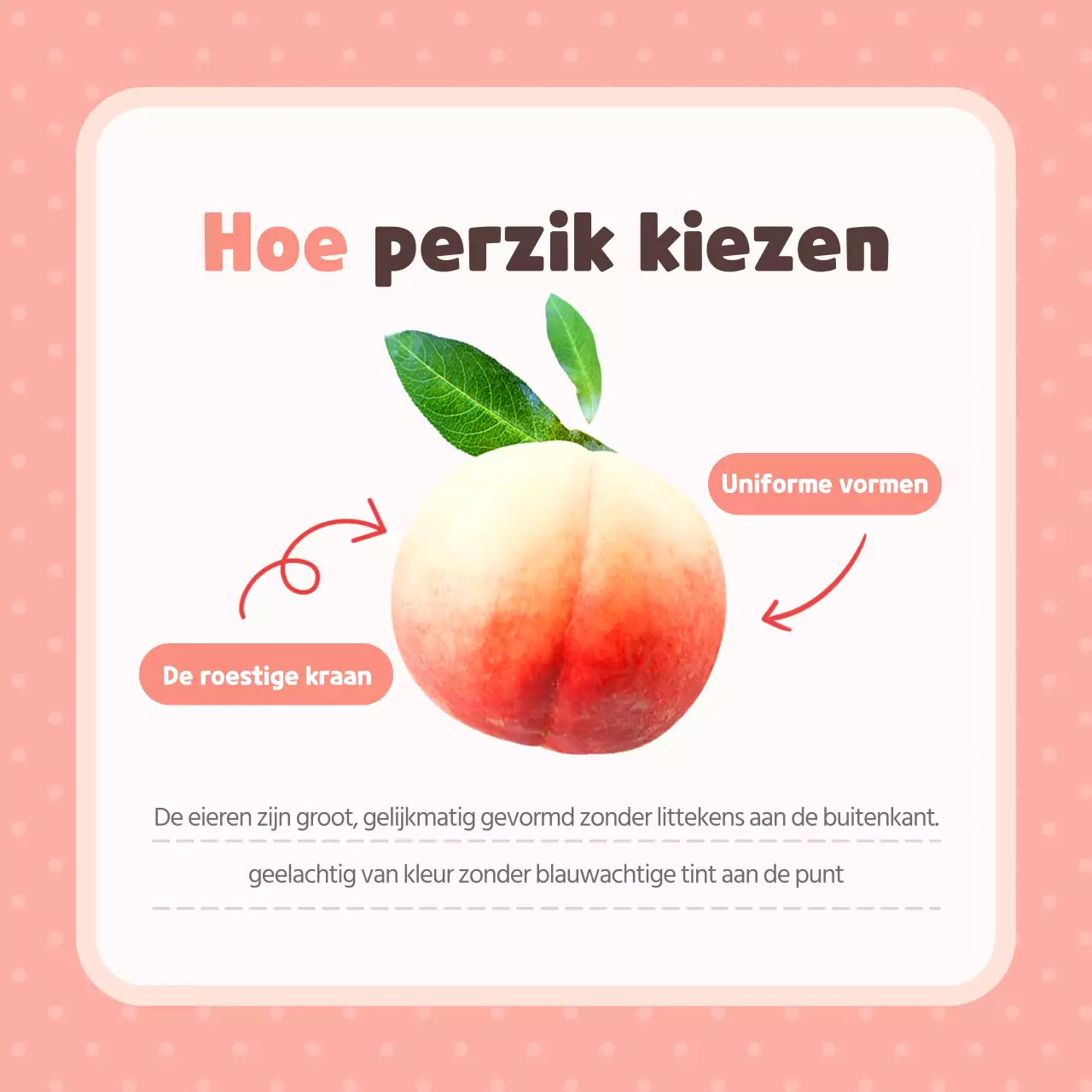 Tips om roze, mooie en lekkere perziken te kiezen