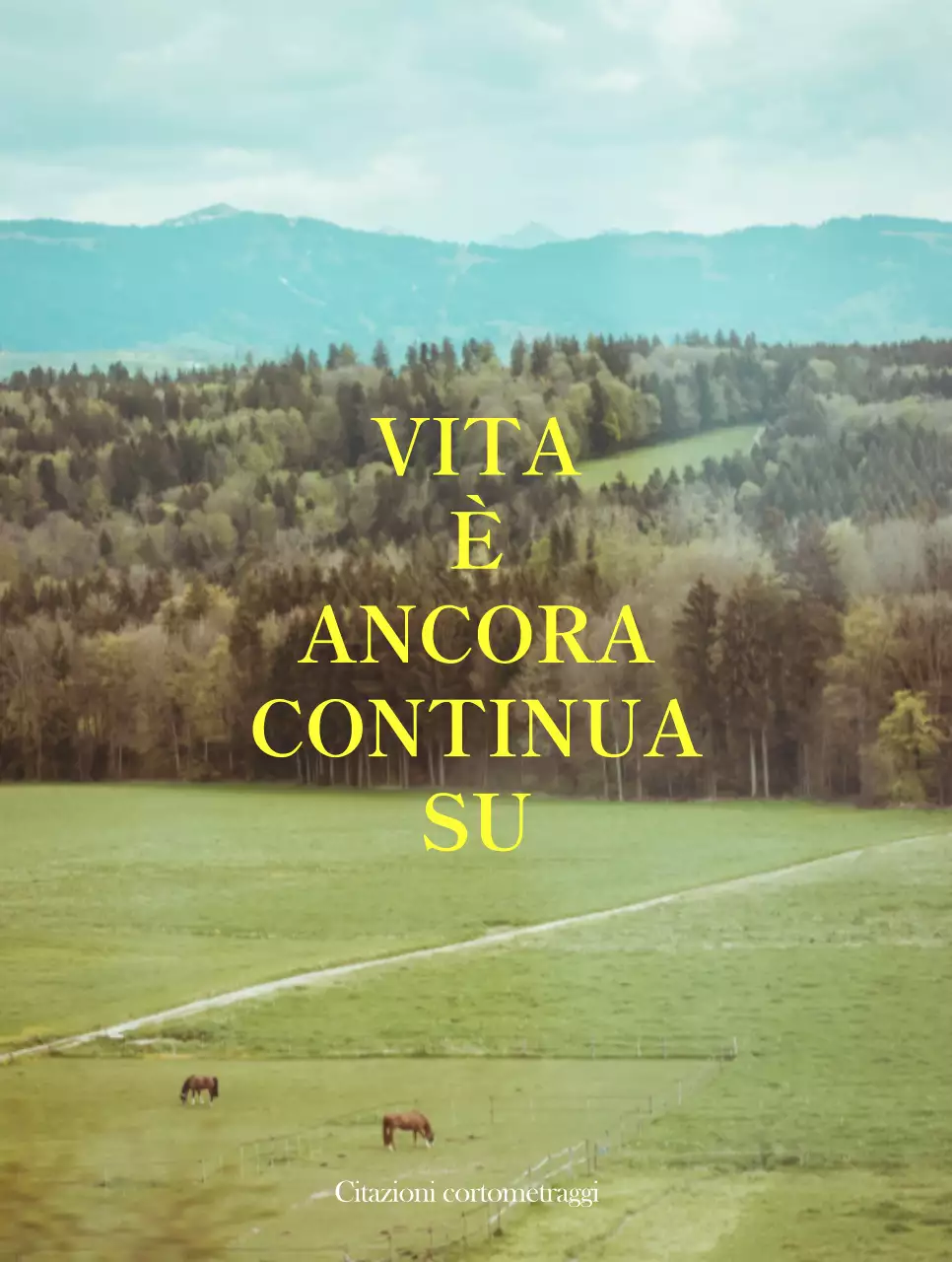 Merchandising con foto emozionali di paesaggi gialli e bianchi e testo emozionale