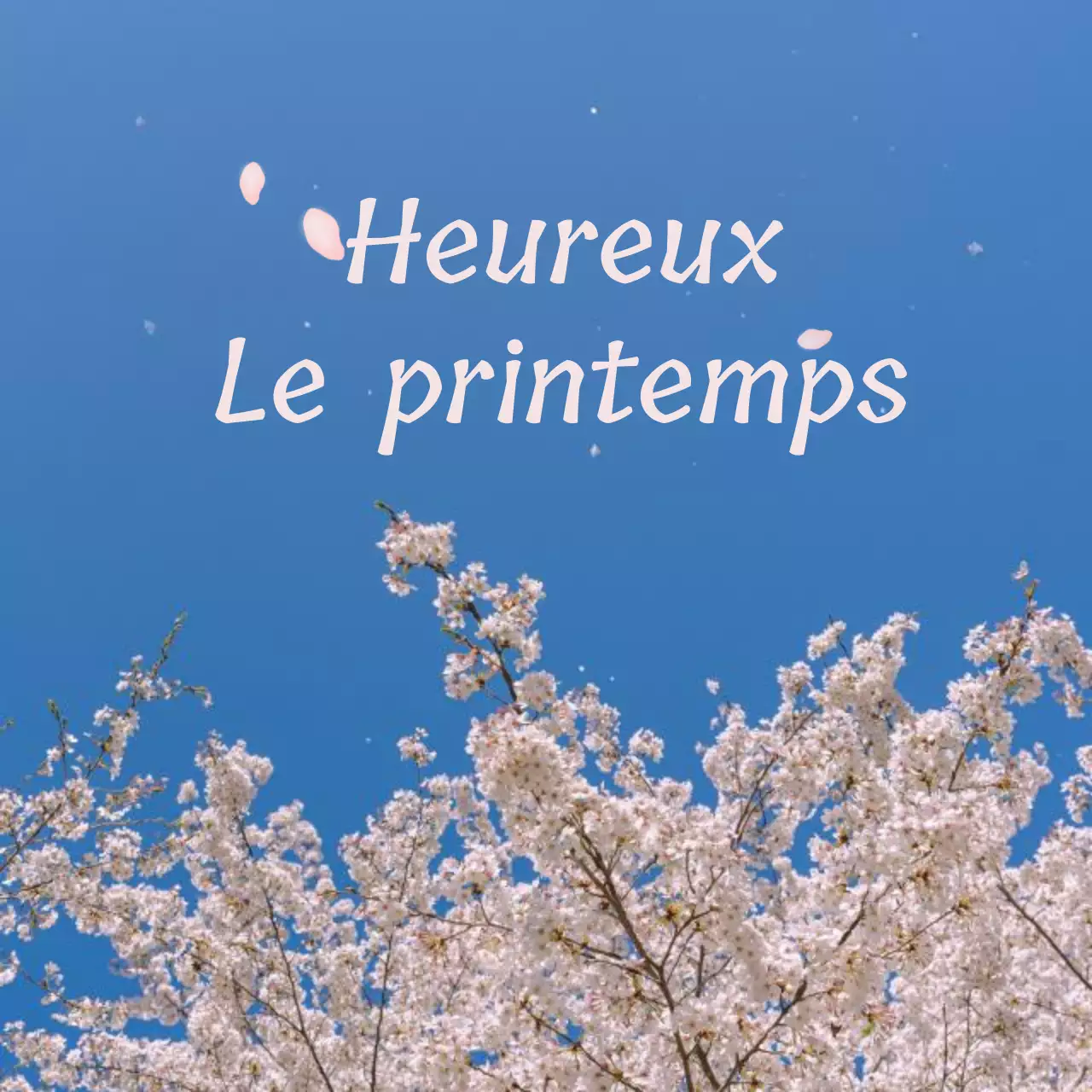 Aménagement intérieur d'un café inspiré par les fleurs de cerisier