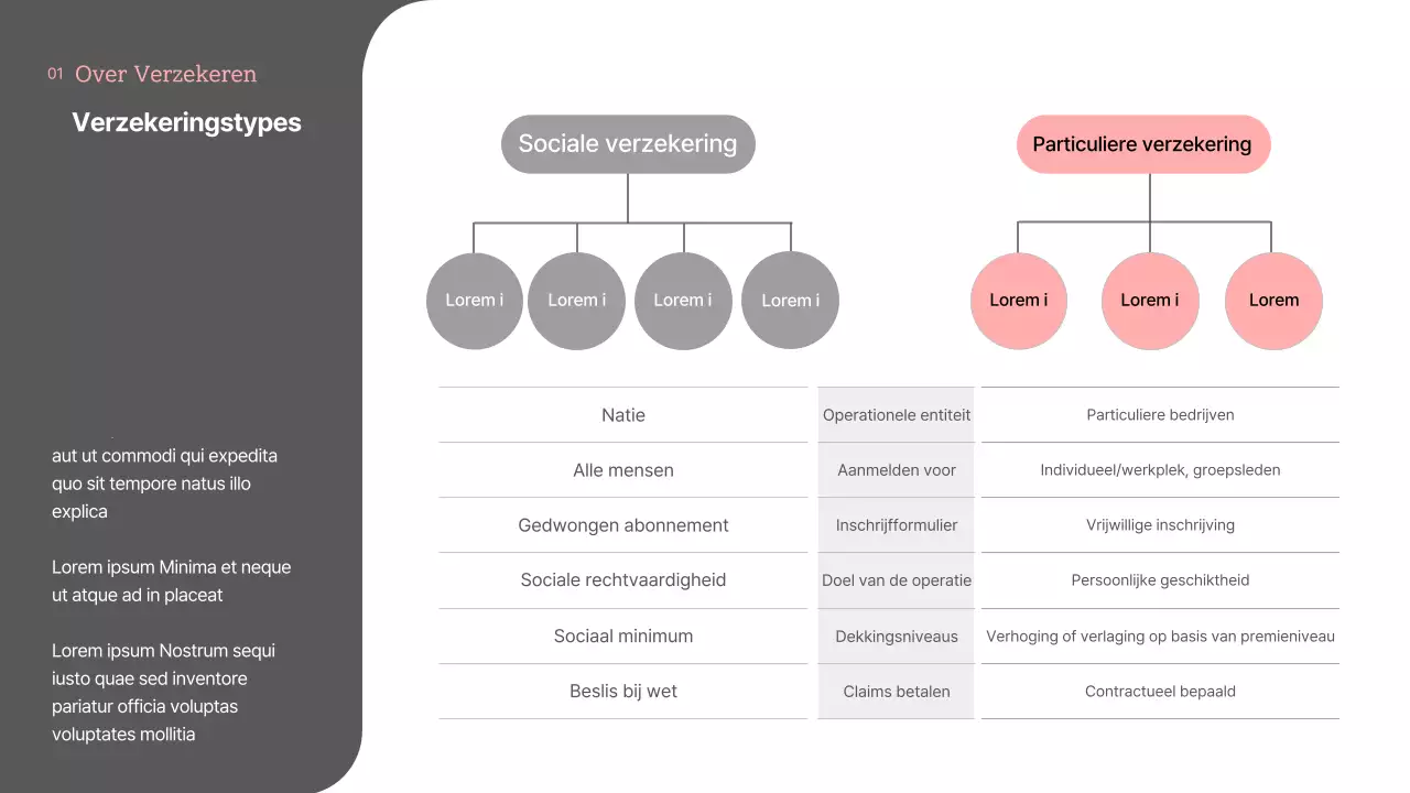 Presentatie van theorieën en voorbeelden van roze en grijze tinten van particuliere verzekeringen en hun vooruitzichten