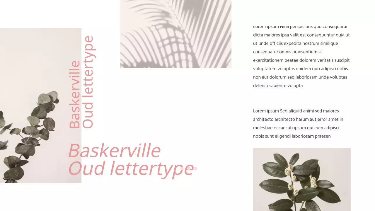 Vrouwelijke presentaties