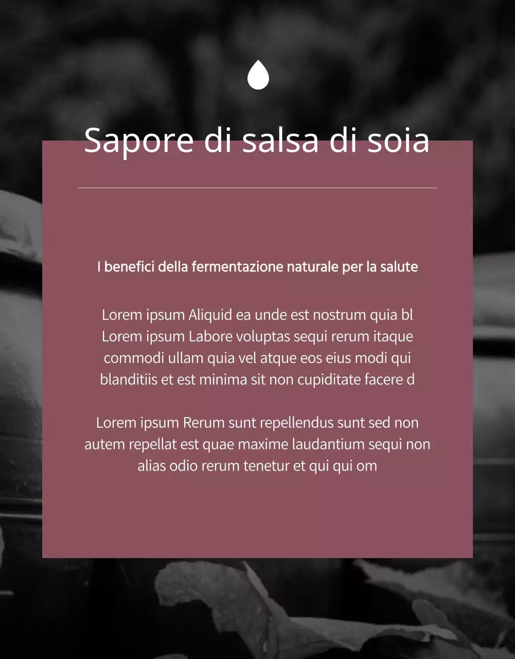 Finanziamento di un lussuoso buono pasto in edizione limitata in nero e marrone (pagina di dettaglio)