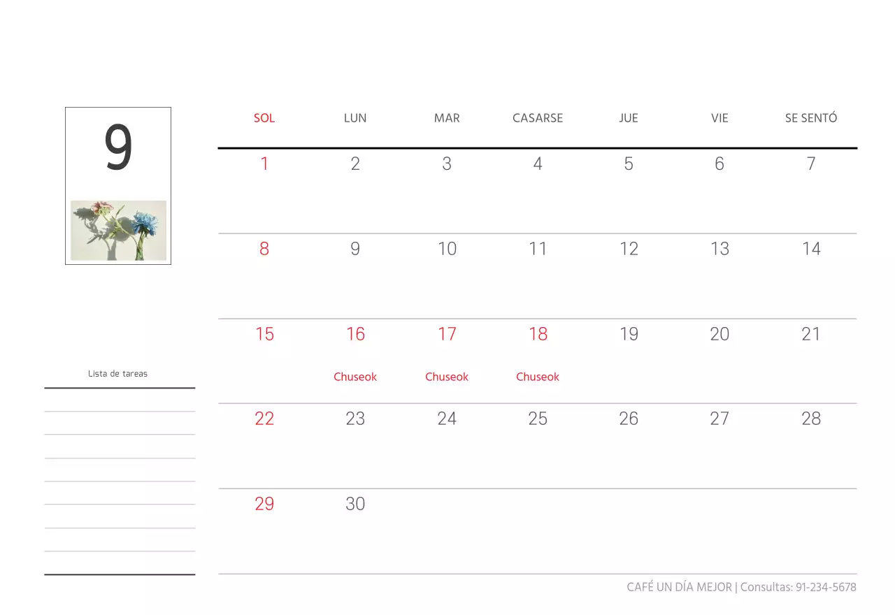 Blanco naturaleza botánica limpia