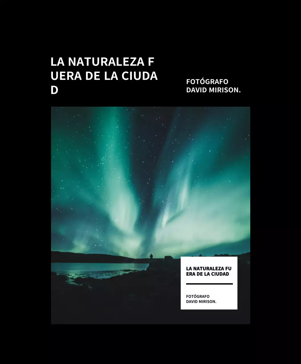 Sencilla y moderna bolsa ecológica para exposición fotográfica en blanco y negro