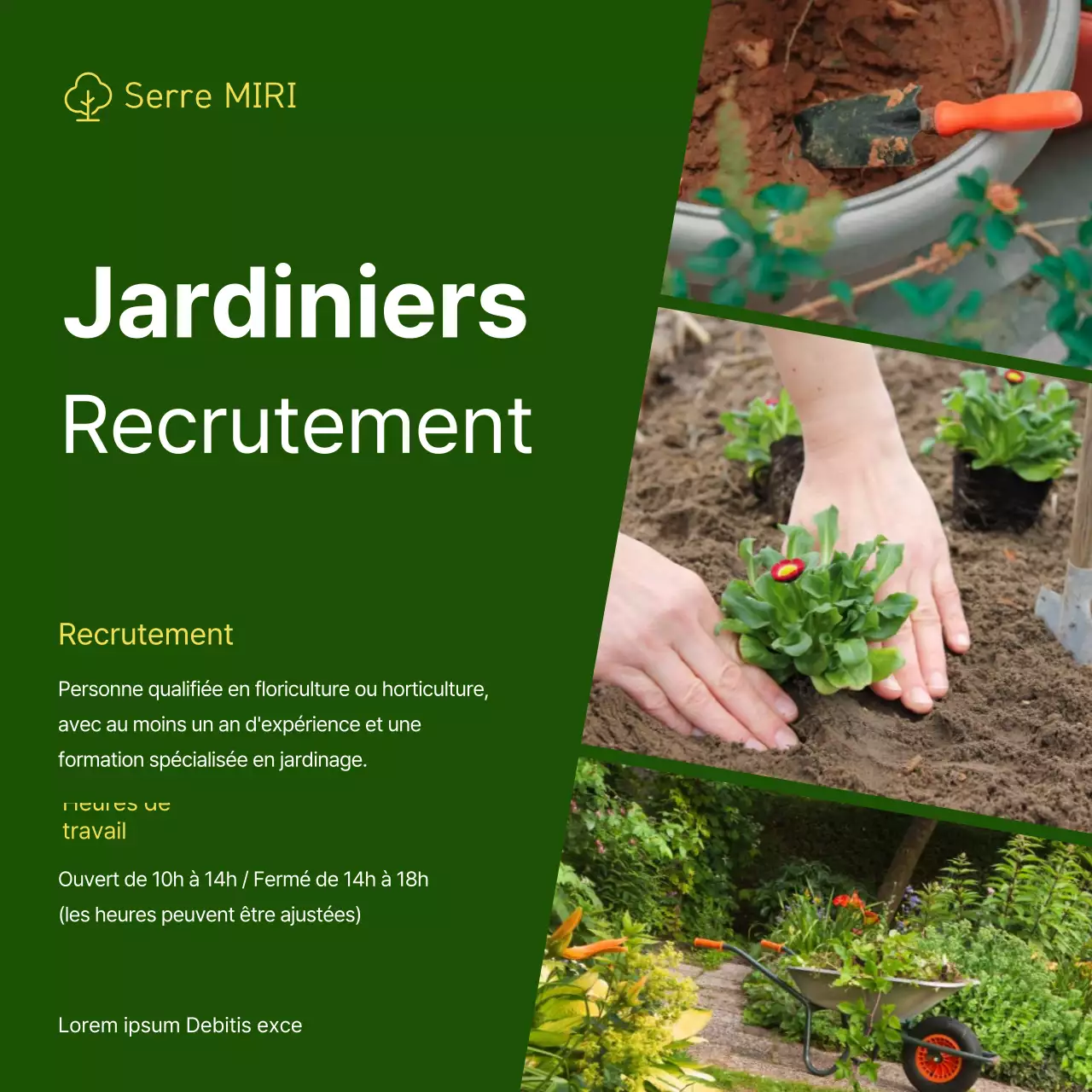 Publicité de recrutement simple sur fond vert et cadre photo V2