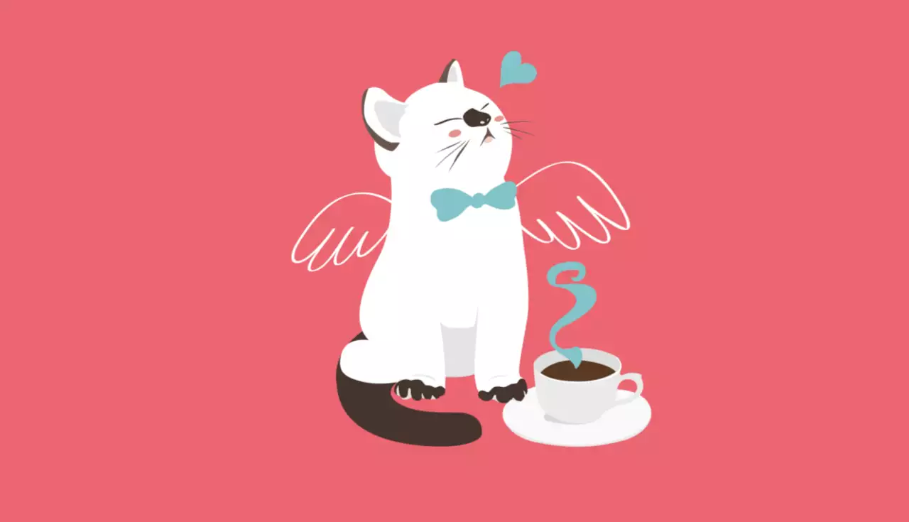Café para gatos