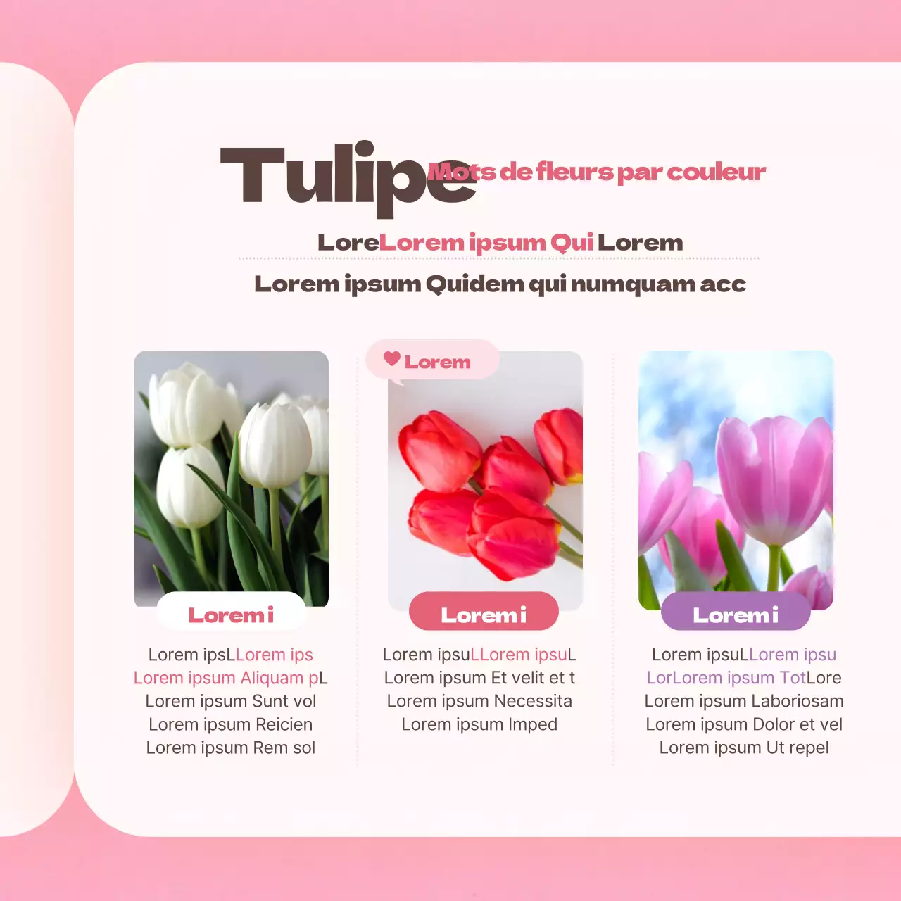 Fleur de tulipe en roseCarte du dictionnaireNews design