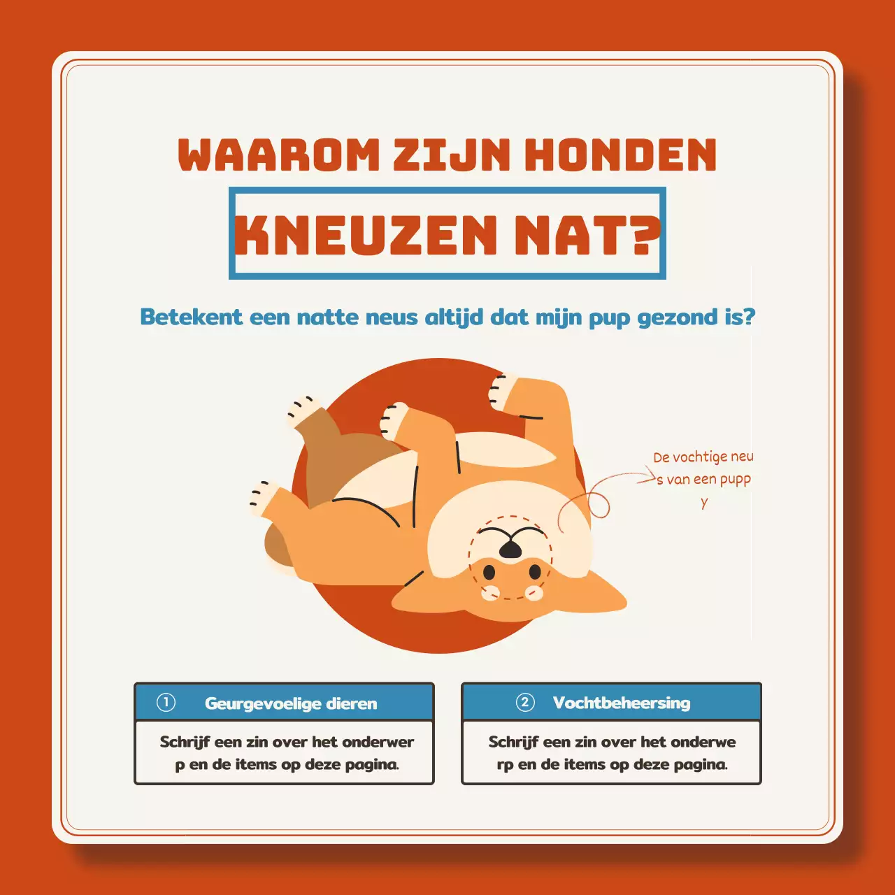 Rood en blauw puppy weetjes uitgelegd