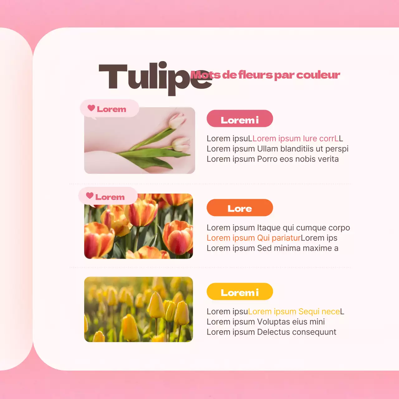 Fleur de tulipe en roseCarte du dictionnaireNews design