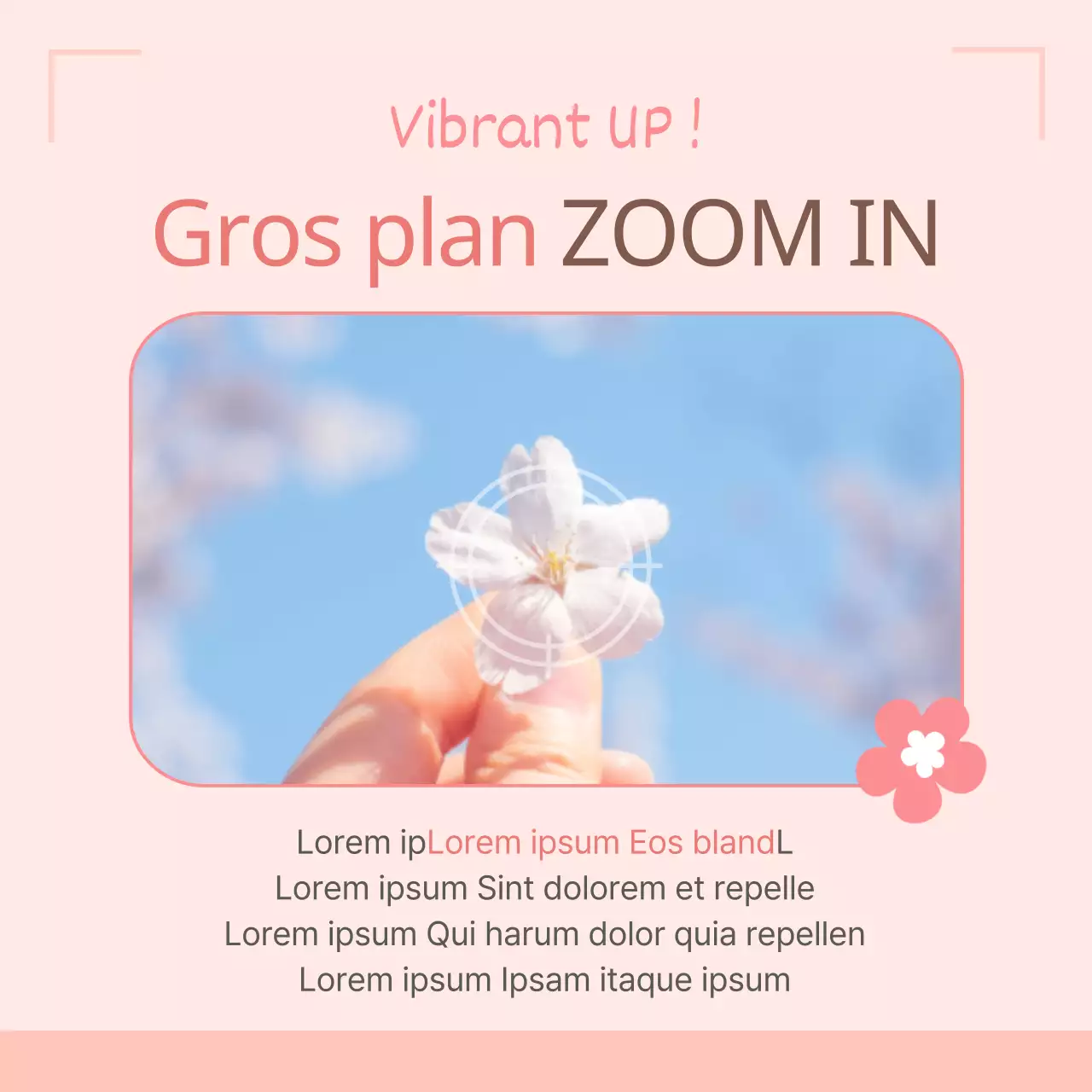 4 conseils pour photographier le festival des fleurs de printemps en rose Promotion de produits