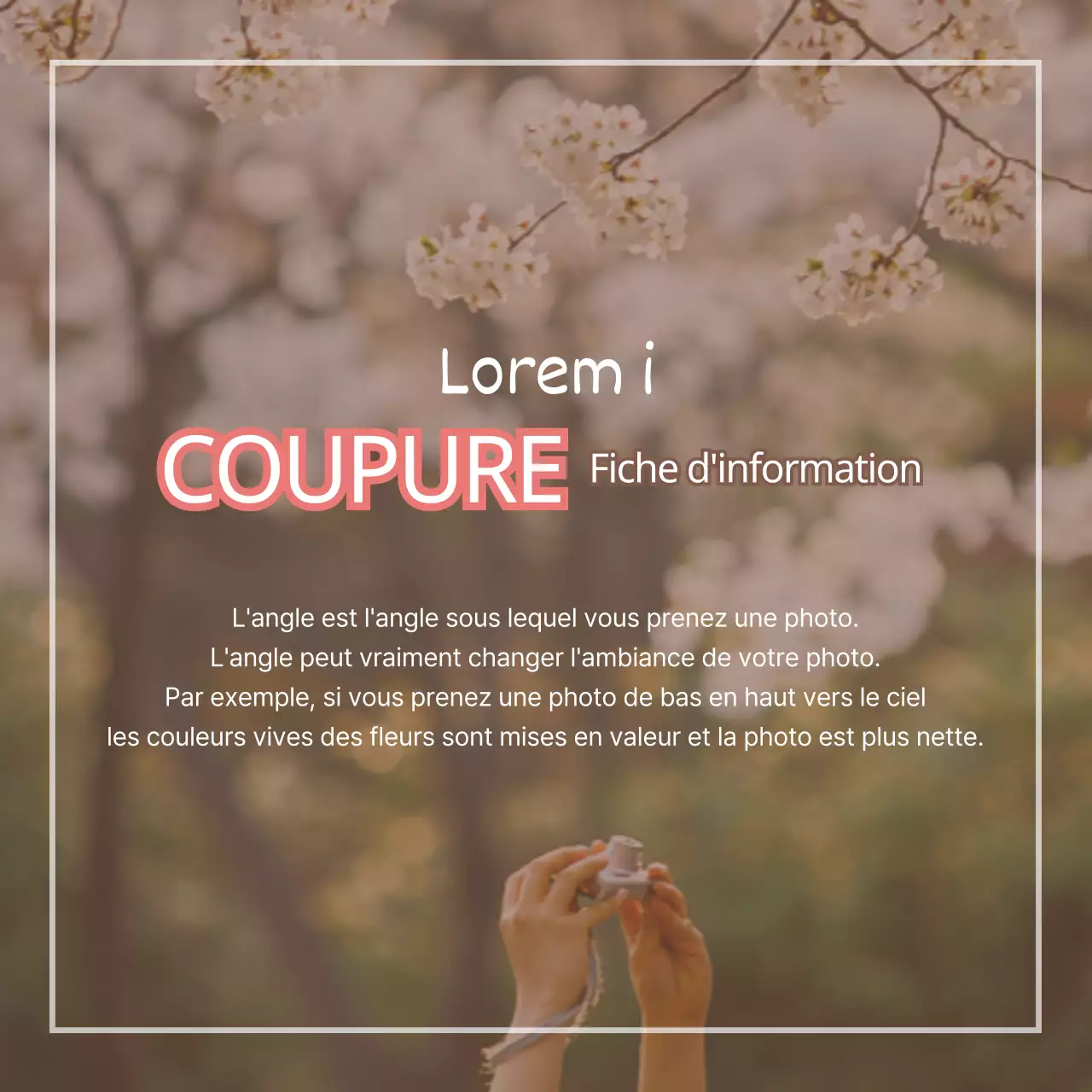 4 conseils pour photographier le festival des fleurs de printemps en rose Promotion de produits