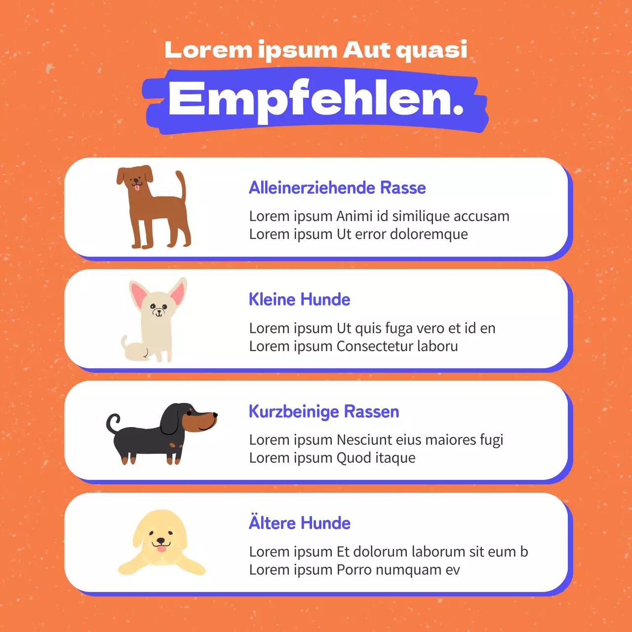 Werbung für Hundebekleidung mit orangefarbenen und blauen Akzenten