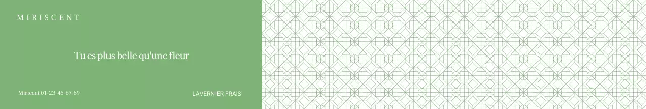 Papier cadeau pour diffuseur sur fond vert à motifs