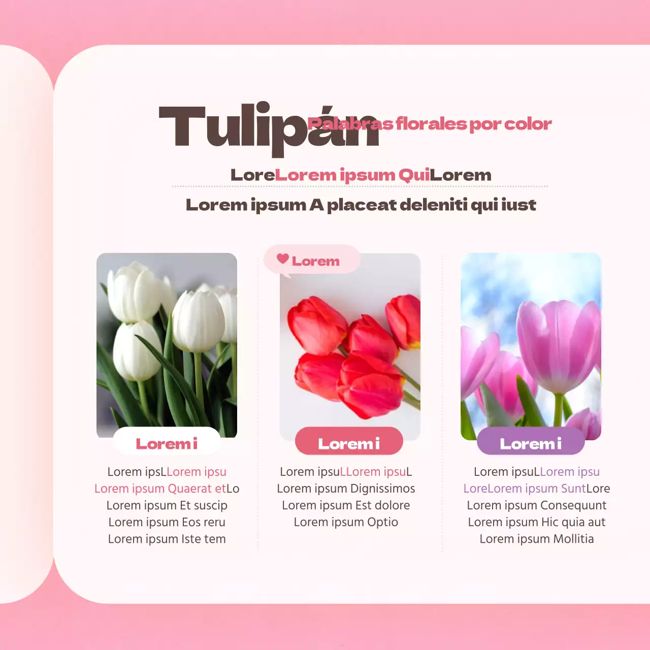 Flor de tulipán en rosaTarjeta de diccionarioDiseño de noticias