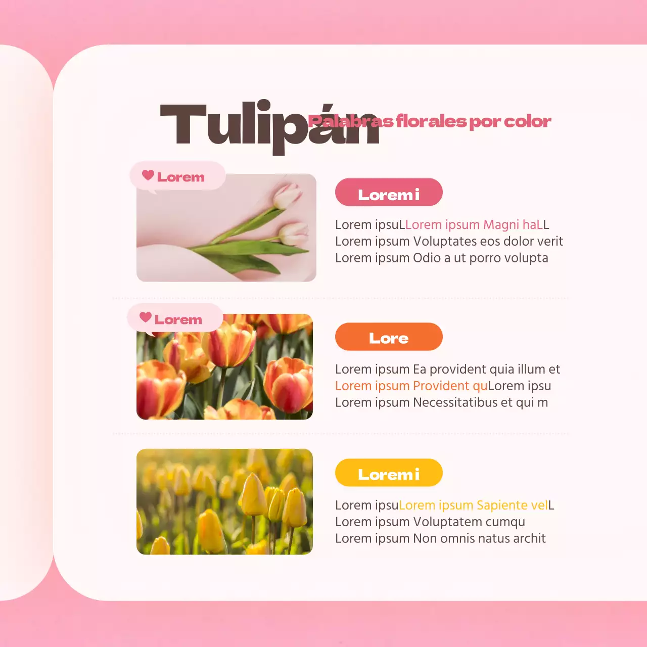 Flor de tulipán en rosaTarjeta de diccionarioDiseño de noticias